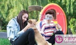 傲娇与偏见在线观看