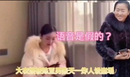 爆料大衣嫂录音视频播放,揭秘家庭矛盾背后的惊人真相