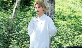 爆料娱乐圈朴智旻,揭秘明星背后的故事与争议