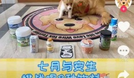 爆料宠物博主视频大全,萌宠日常大盘点