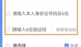 泰安负面新闻爆料电话查询,揭秘城市阴暗面，全民监督行动启动