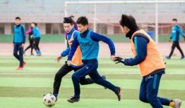 足球青训队爆料新闻,独家爆料背后的青训真相