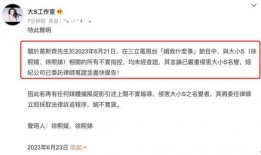 最新爆料大小s,揭秘娱乐圈最新爆料背后的惊人真相！