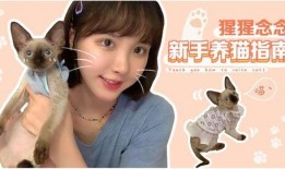 爆料宠物博主视频大全,萌宠日常大盘点