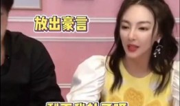 辛巴事件女主爆料视频播放,揭秘背后真相