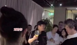 热点爆料刘浩存视频,揭秘明星私生活背后的真相