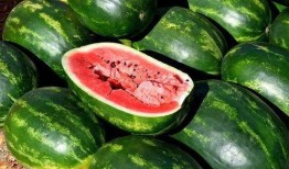 吃瓜网红照片下载网站,吃瓜群众的新宠