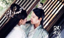 双是宠妃在线观看,宫廷宠爱风云录