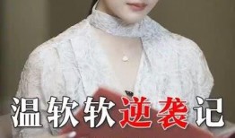 逆袭第四集在线观看,逆境崛起，命运转折点