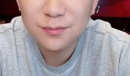 大鹏爆料辛巴视频大全,大鹏爆料背后的真相与争议