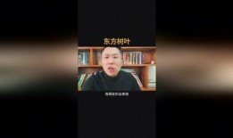 东方树叶最新爆料新闻视频,揭秘茶叶新风尚背后的故事