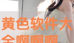 色情HD在线观看,激情瞬间，视觉盛宴