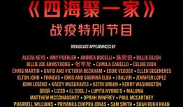 抖音爆料西瓜视频在哪,西瓜视频内容创作攻略，轻松生成爆款视频！