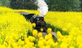 颖儿油菜花爆料了吗视频,颖儿油菜花爆料视频幕后真相揭晓