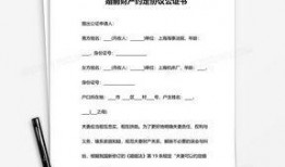 婚前协议在线观看,揭秘婚姻背后的法律与情感博弈