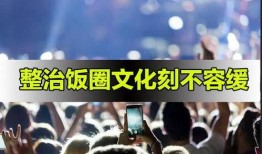 爆料娱乐圈朴智旻,揭秘明星背后的故事与争议