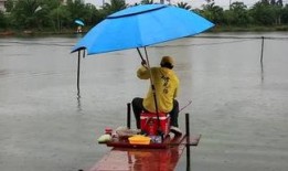 小品钓鱼视频在线观看,小品钓鱼视频，欢乐时光尽在掌握