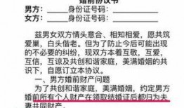 婚前协议在线观看,揭秘婚姻背后的法律与情感博弈