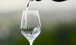 餐厅爆料视频素材下载大全