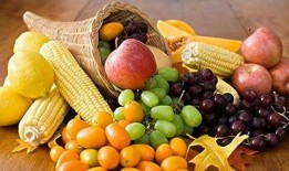 吃瓜黄料视频下载安装免费,吃瓜黄料视频，免费安装指南一网打尽