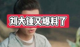 陈大锤的最新爆料,娱乐圈惊天内幕大曝光！