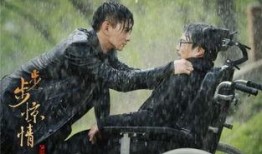 步步惊情在线观看,穿越时空的浪漫传奇