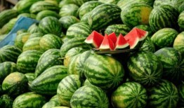 都有哪些网红吃瓜,盘点那些热门话题背后的幕后故事