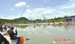 爆料如皋钓鱼视频大全,视频大全揭秘垂钓魅力