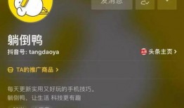 抖音爆料八卦怎么弄的视频,如何轻松制作热门视频教程