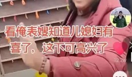 陕西儿媳妇爆料新闻,揭秘家庭矛盾背后的真相