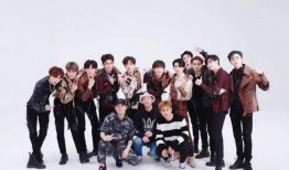 圈内人爆料kpop,揭秘偶像幕后故事与真实面貌