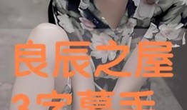 良辰之屋3在线观看,穿越时空的奇幻之旅