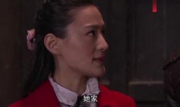 电视剧红狐在线观看,传奇特工的生死追击