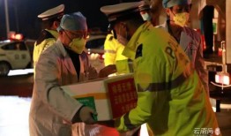 武汉捐献热血爆料事件视频,真相与争议的交织