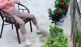 农村妇女爆料视频在线看,揭开乡村生活背后真相