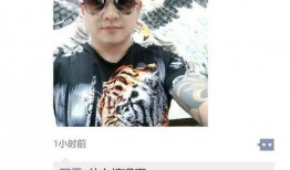 深圳老司机龙哥最新爆料,最新爆料背后的惊人真相