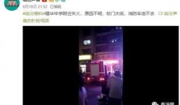凌华爆料视频大全,揭秘幕后真相与精彩瞬间