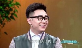 大鹏爆料辛巴视频大全,大鹏爆料背后的真相与争议