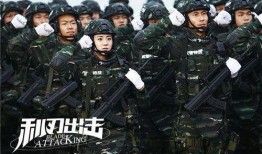 利刃突击全集在线观看,揭秘特种兵的生死较量与忠诚信仰