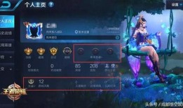 王者爆料教官怎么办啊视频,揭秘视频攻略解析