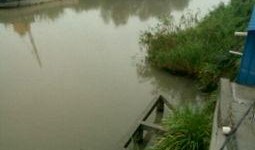 爆料如皋钓鱼视频大全,视频大全揭秘垂钓魅力