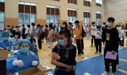 河南龙公子爆料最新消息,揭秘事件背后惊人真相