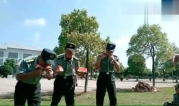 老教官视频爆料,揭秘军旅生涯背后的真实故事