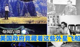 最新外星爆料视频大全,最新外星爆料视频大全深度解析