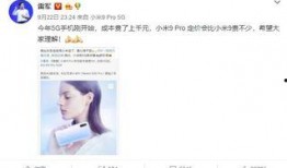 爆料北漂米兜妈妈视频,揭秘京城生活背后的辛酸与坚持