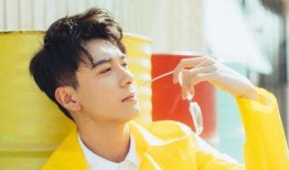 娱记爆料陈星旭视频大全,娱记爆料背后的精彩瞬间