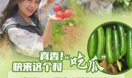 吃瓜真香小说免费阅读,揭秘小说中的甜蜜诱惑与情感纠葛