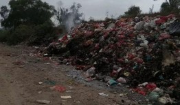 陆丰大海边爆料视频,揭秘神秘事件背后的真相