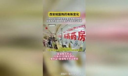 西安药品最新爆料,揭秘药企黑幕与监管挑战