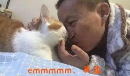 吃瓜猫抖音网红是谁,揭秘网红背后的故事与魅力”